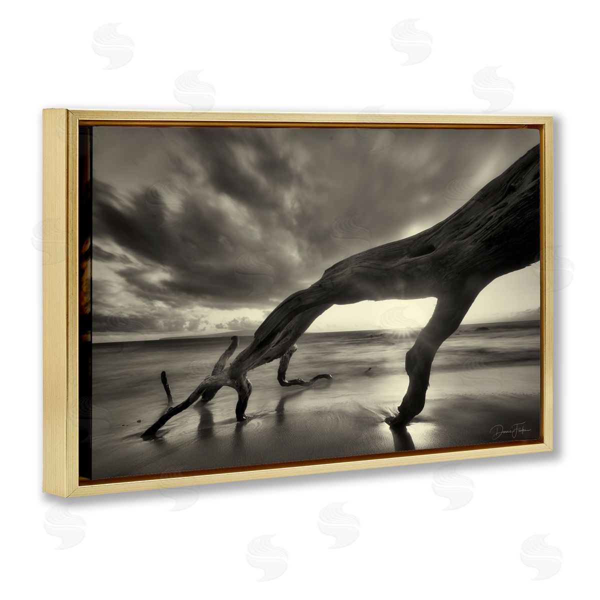 Tree Trunk on Shore Gold Floating Frame Canvas Wall Art, Home Decor by Dennis Frates