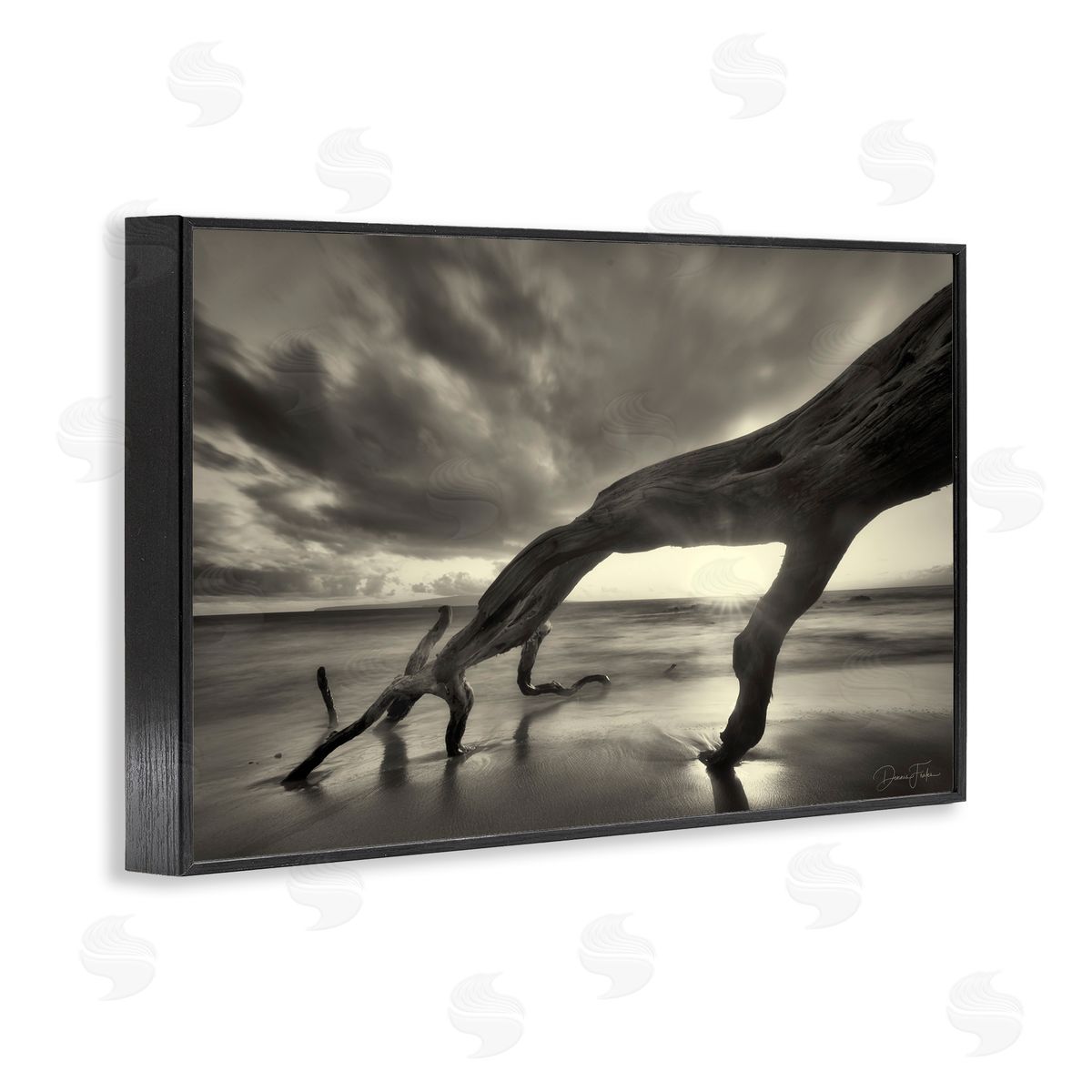 Tree Trunk on Shore Black Frame Print Wall Art, Home Decor by Dennis Frates