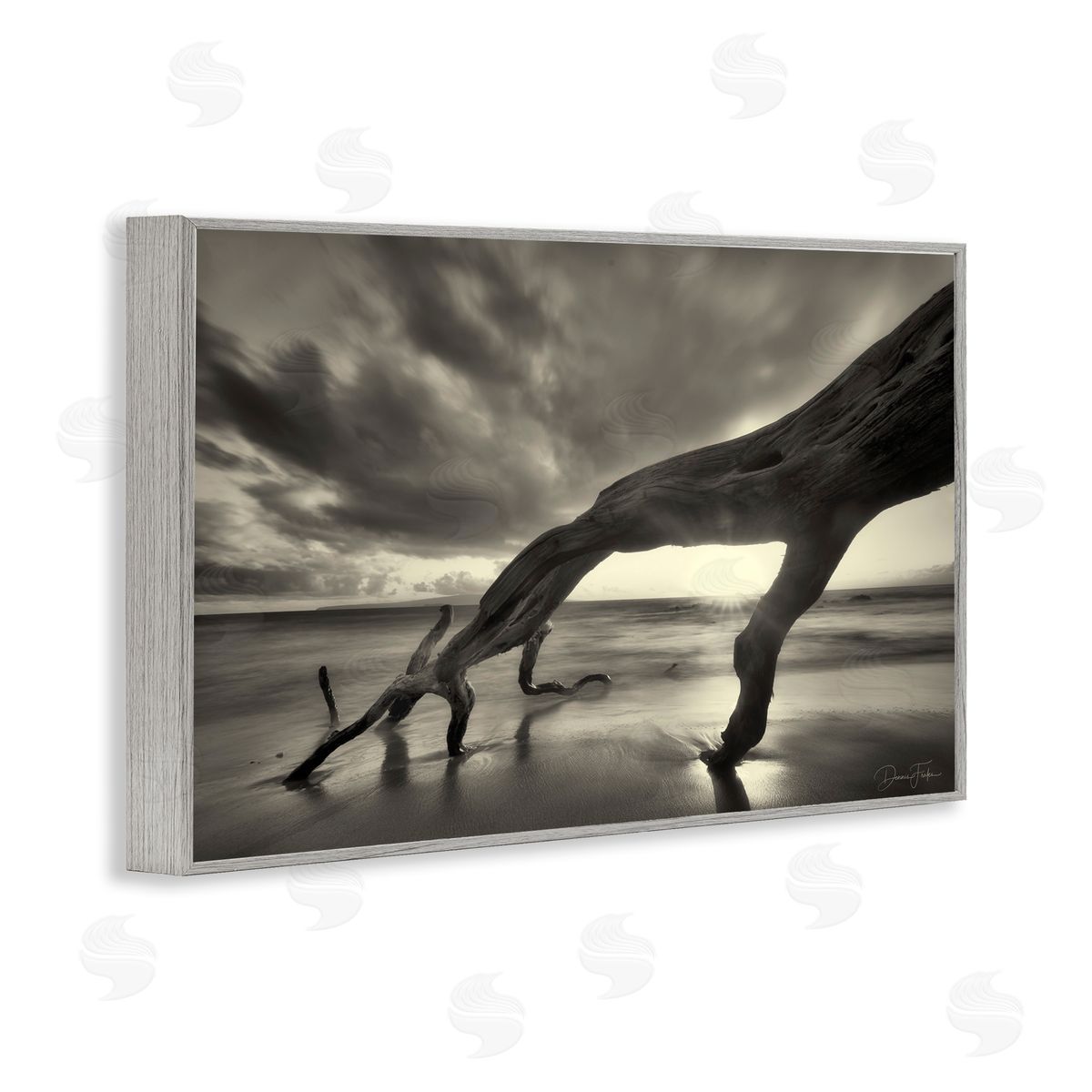 Tree Trunk on Shore Grey Frame Print Wall Art, Home Decor by Dennis Frates