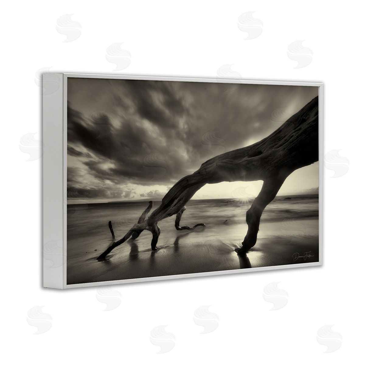 Tree Trunk on Shore White Frame Print Wall Art, Home Decor by Dennis Frates