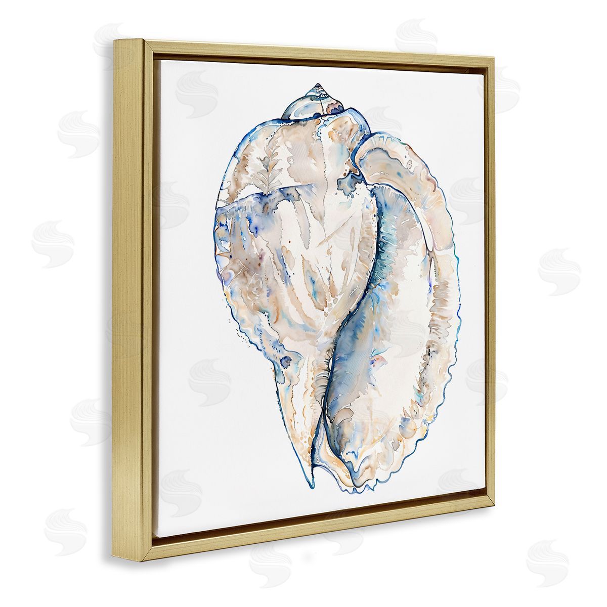 Conch Shell on White Gold Floating Frame Canvas Wall Art, Home Decor by Christine Zalewski