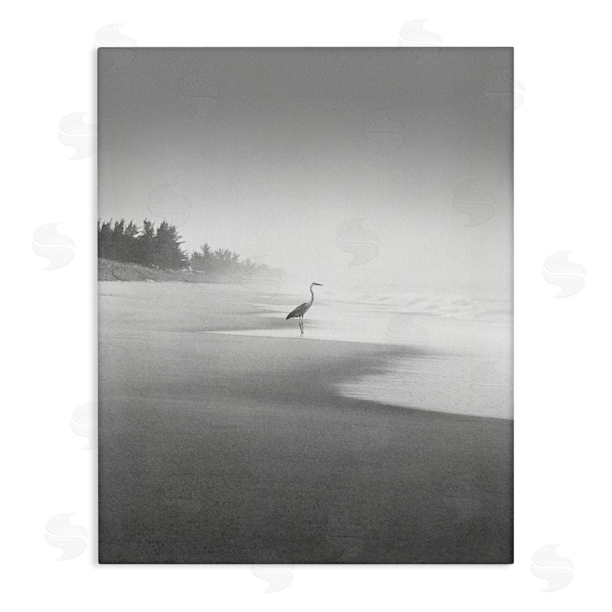 Heron on Beach Coast Canvas Wall Art, Home Decor by Chip Forelli