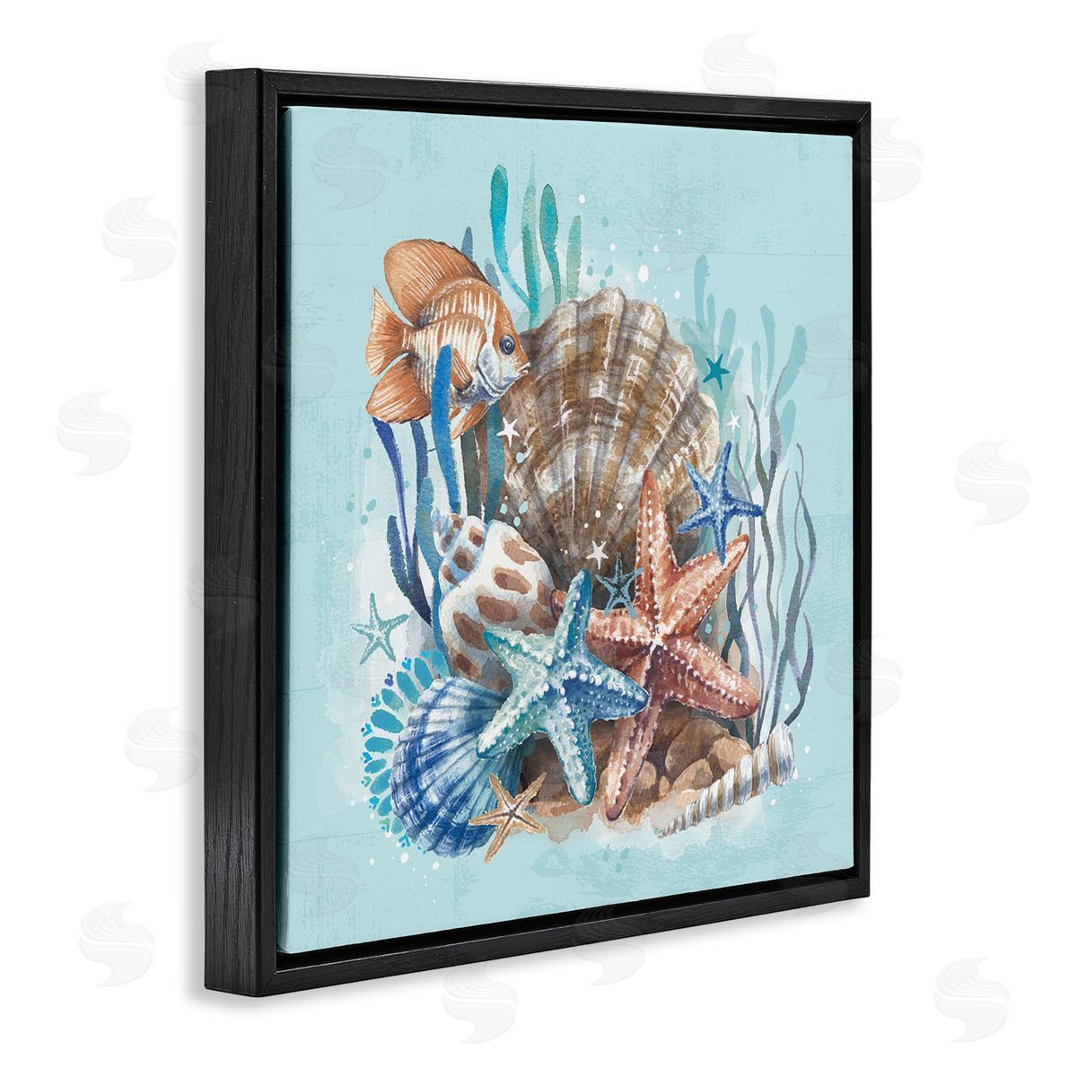 Seashell Still Life Black Floating Frame Canvas Wall Art, Home Decor by Courtney Morgenstern