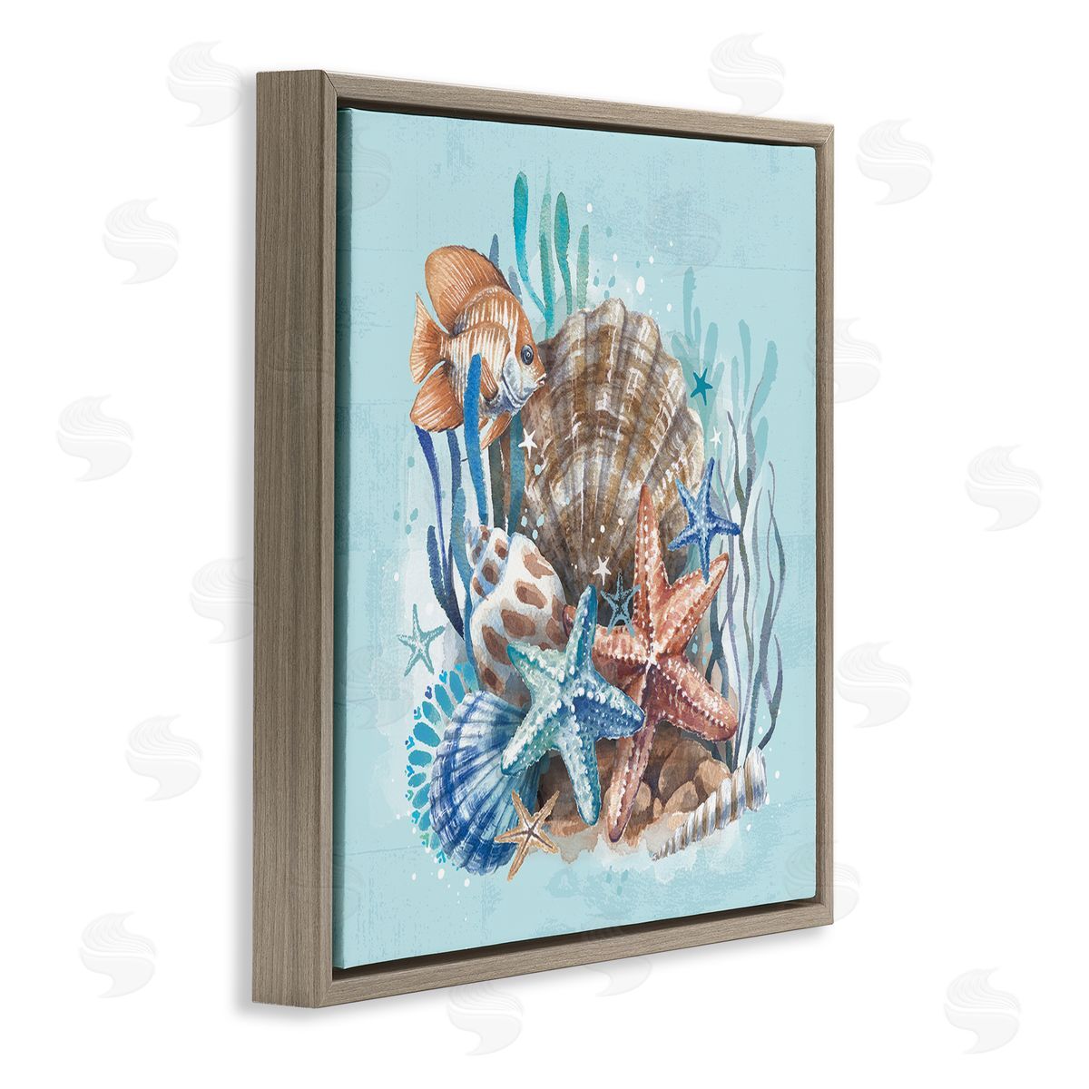 Seashell Still Life Brown Floating Frame Canvas Wall Art, Home Decor by Courtney Morgenstern