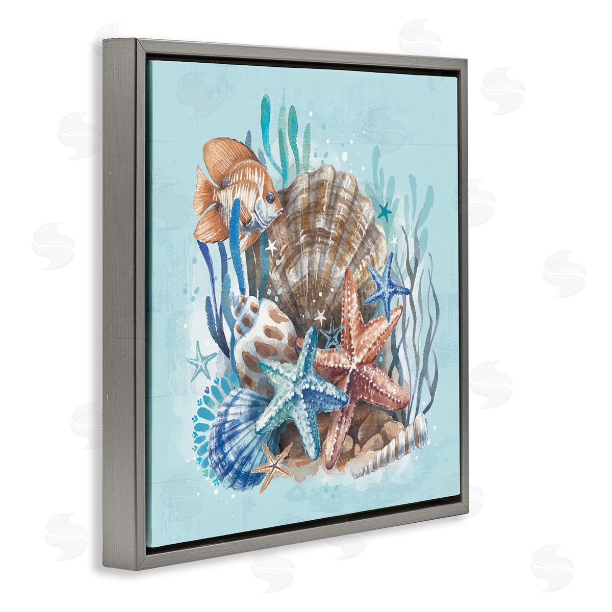 Seashell Still Life Grey Floating Frame Canvas Wall Art, Home Decor by Courtney Morgenstern