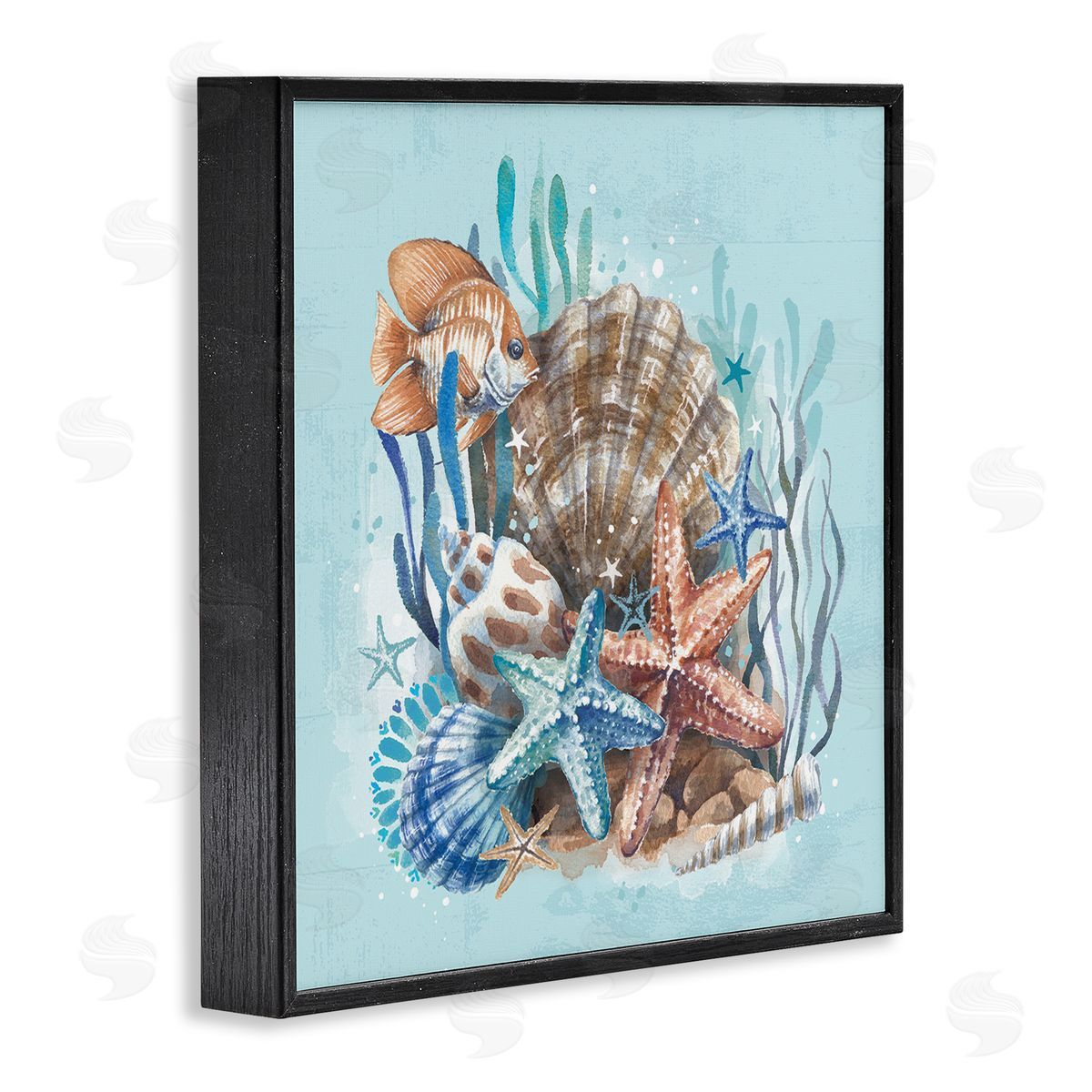 Seashell Still Life Black Frame Print Wall Art, Home Decor by Courtney Morgenstern