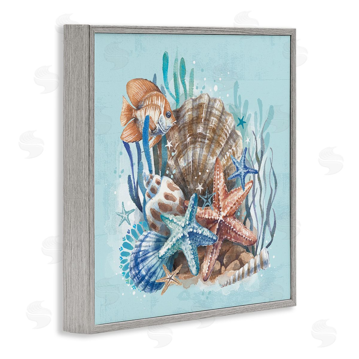 Seashell Still Life Grey Frame Print Wall Art, Home Decor by Courtney Morgenstern