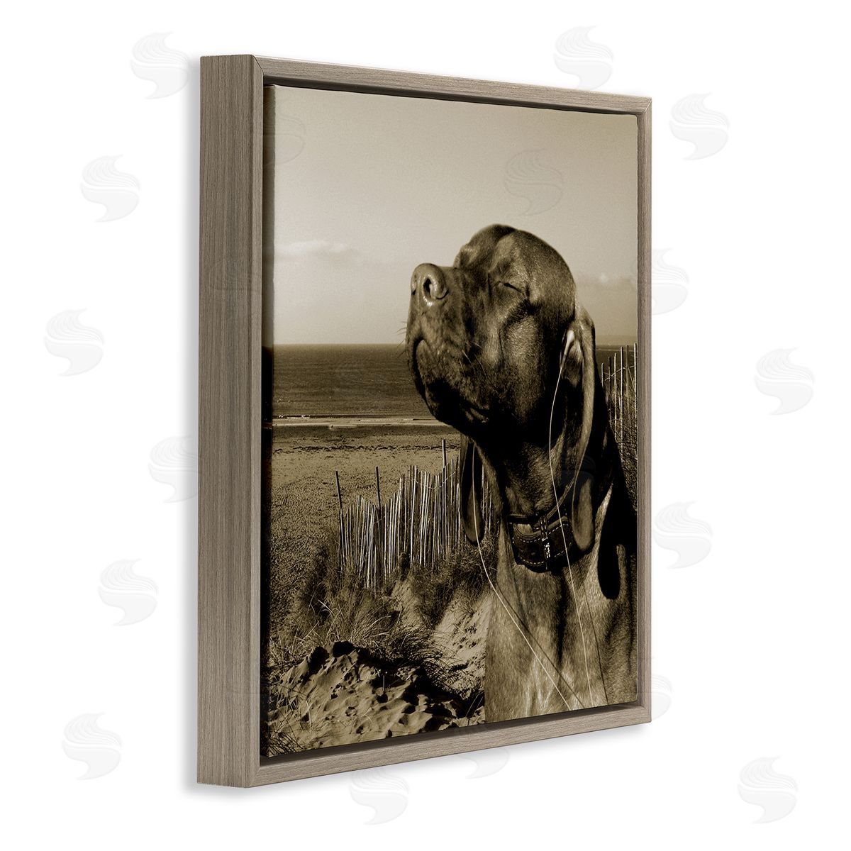 Relaxed Dog with Music Brown Floating Frame Canvas Wall Art, Home Decor by Noah Bay