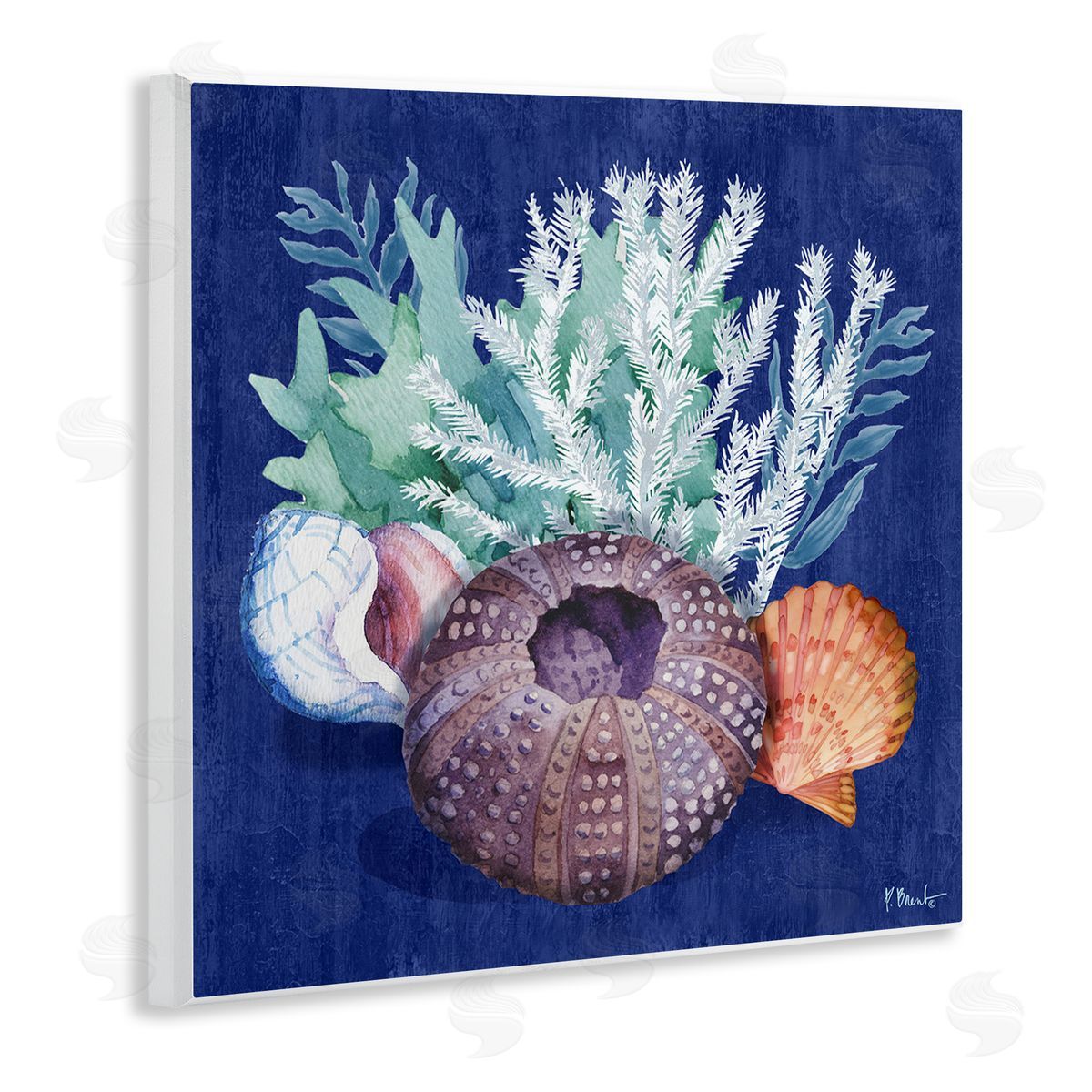 Urchin Sea Life Wood Plaque Wall Art, Home Decor by Paul Brent