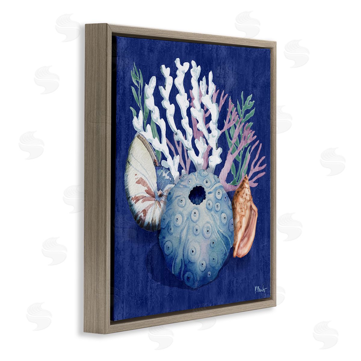 Sea Urchin and Coral Brown Floating Frame Canvas Wall Art, Home Decor by Paul Brent
