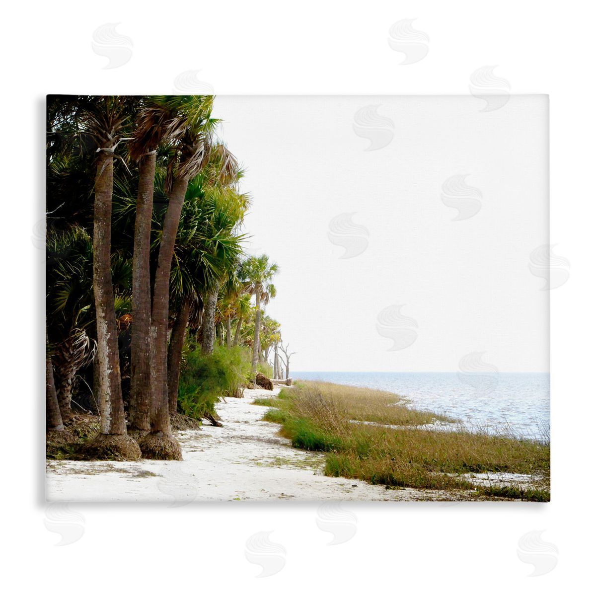 Palm Beach Path Canvas Wall Art, Home Decor by Gail Peck