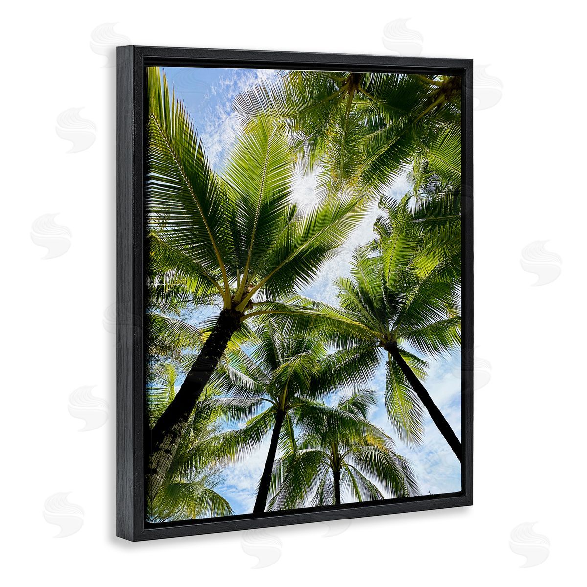 Kali Wilson Overhead Palm Trees Black Floating Frame Canvas Wall Art Print