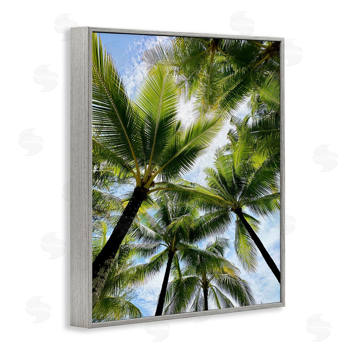 Kali Wilson Overhead Palm Trees Gray Framed Giclee Wall Art Print