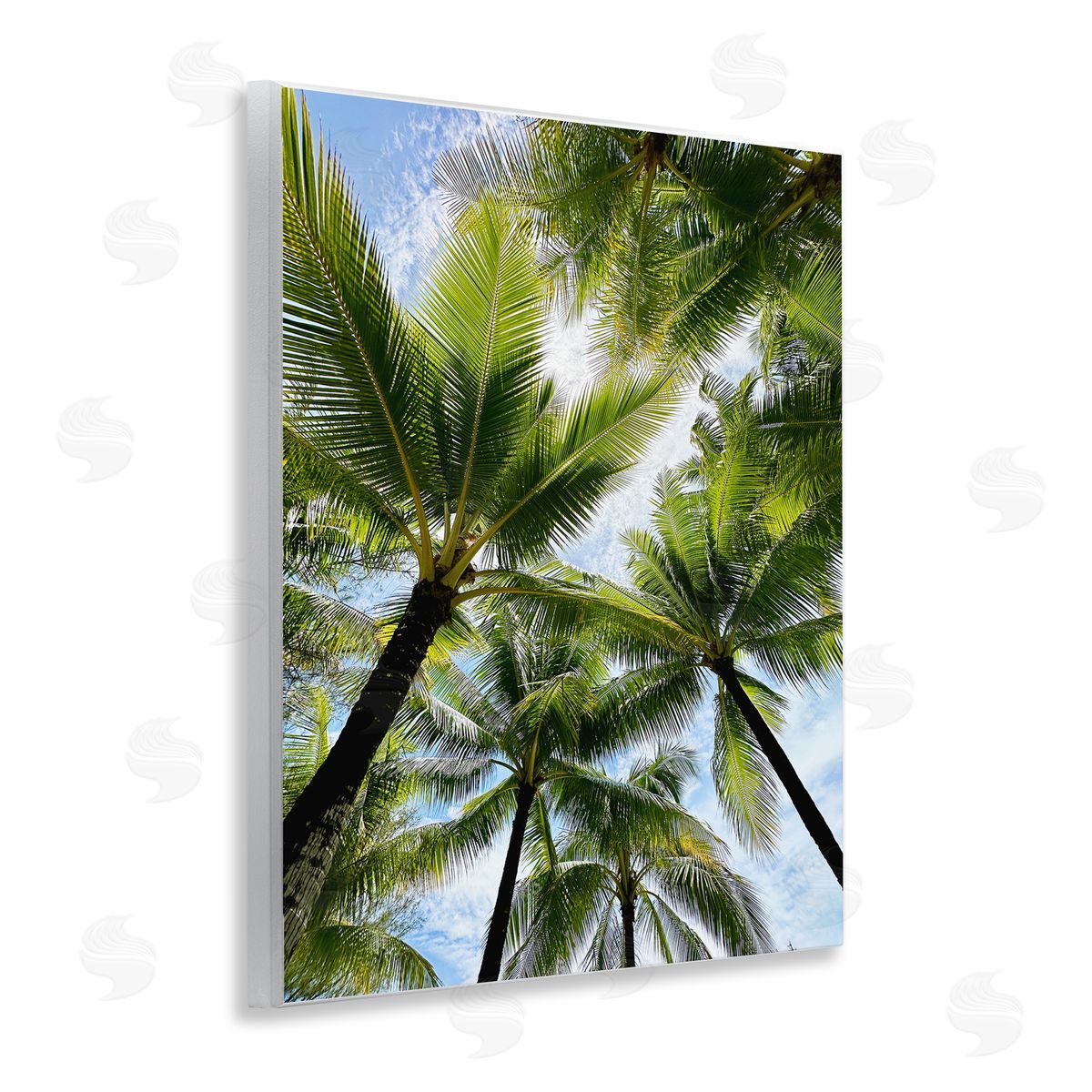 Kali Wilson Overhead Palm Trees Wooden Wall Plaque Art Print