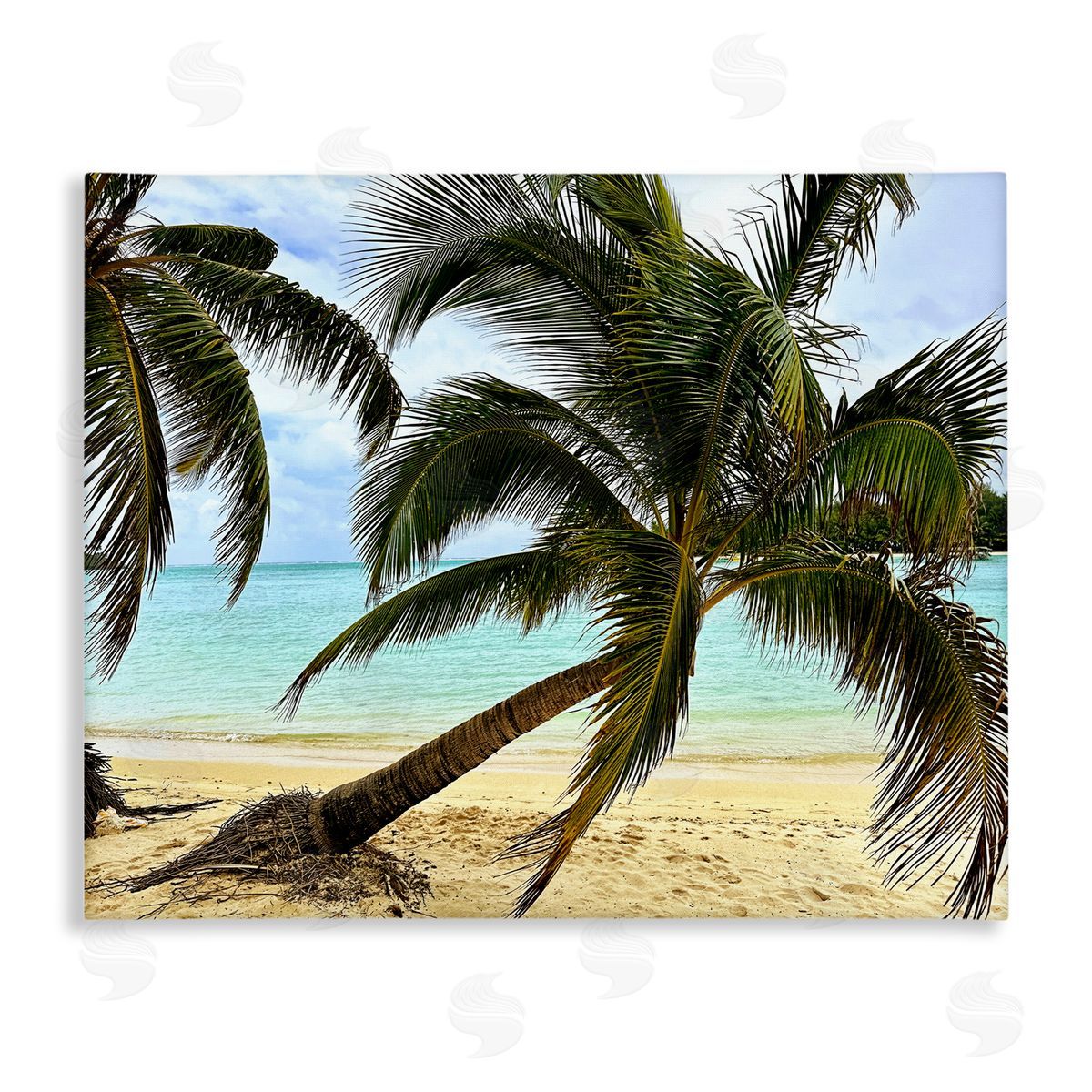 Leaning Palms on Beach Canvas Wall Art, Home Decor by Kali Wilson