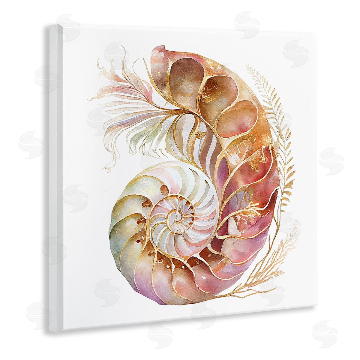 Birch & Ink Curled Nautilus Pattern Wooden Wall Plaque Art Print