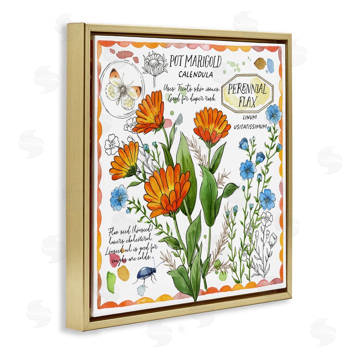 Jane Maday Country Herb Uses Gold Floating Frame Canvas Wall Art Print