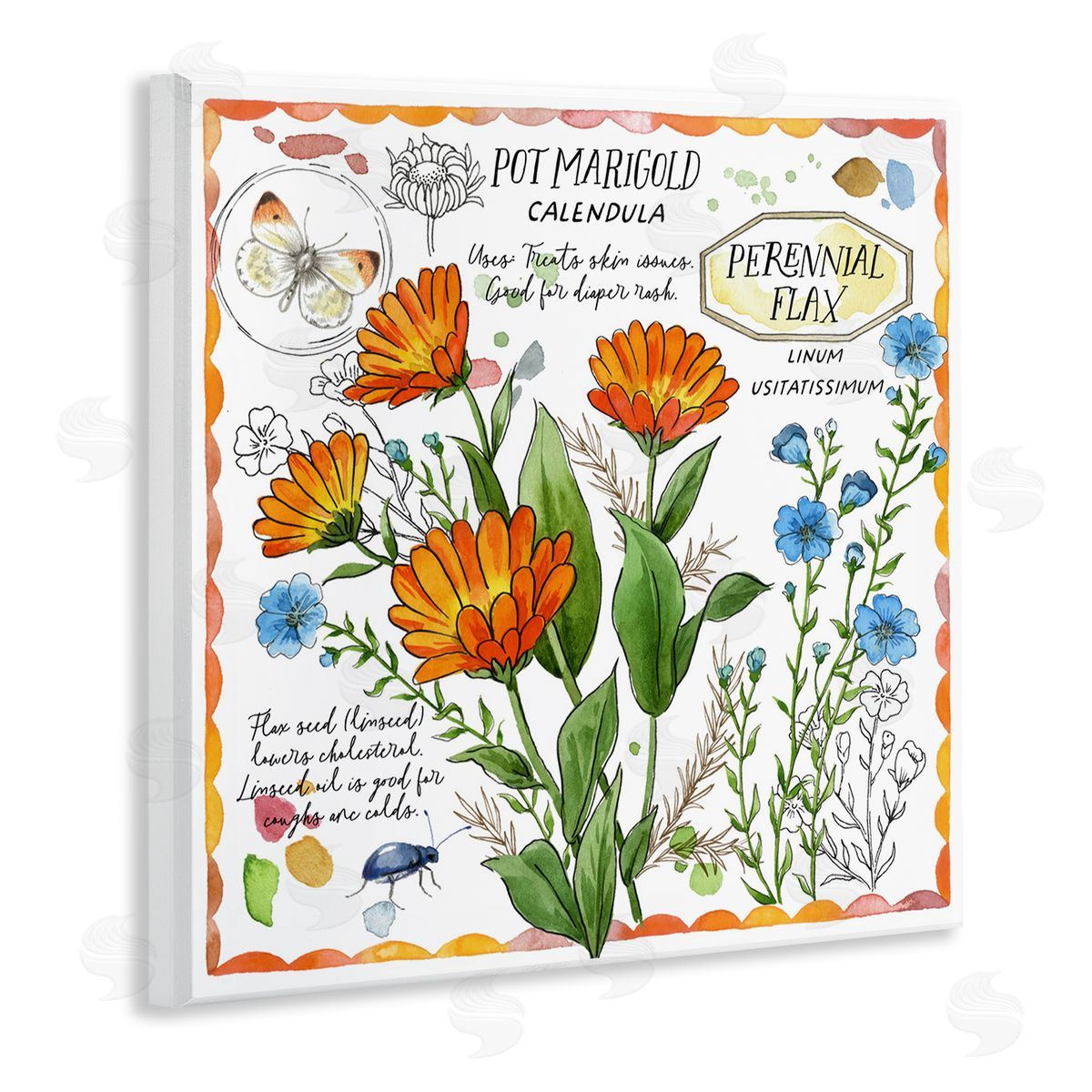 Jane Maday Country Herb Uses Wooden Wall Plaque Art Print