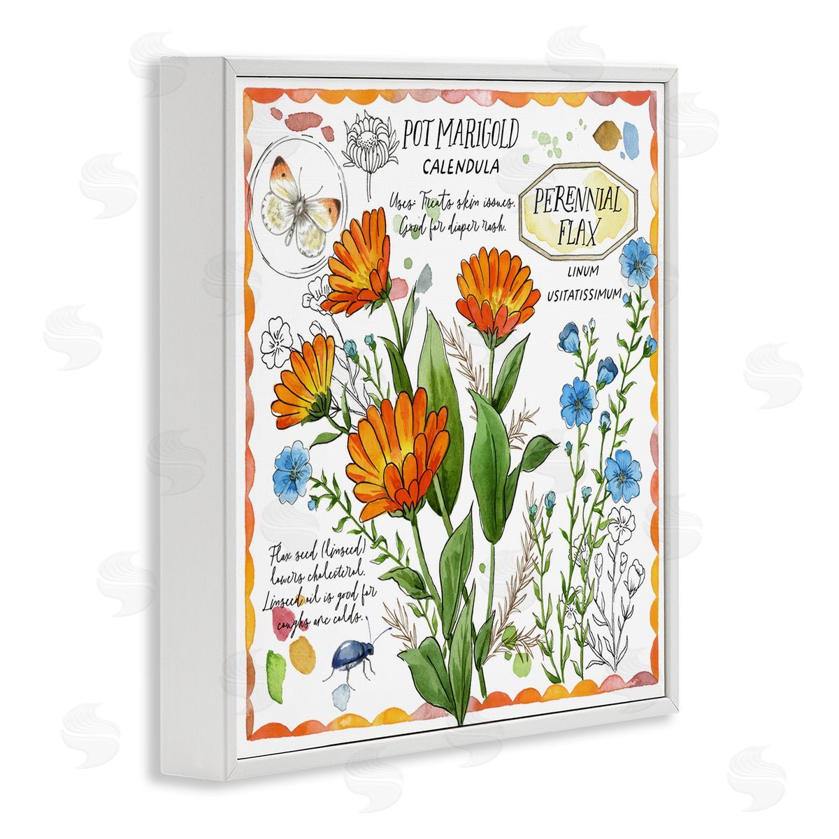 Jane Maday Country Herb Uses White Framed Giclee Wall Art Print