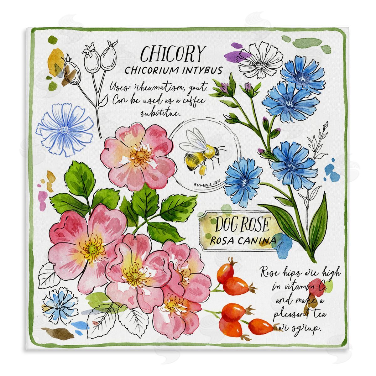 Jane Maday Varied Herbs Benefits Canvas Wall Art Print