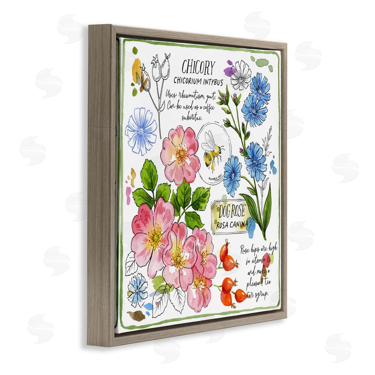 Jane Maday Varied Herbs Benefits Brown Floating Frame Canvas Wall Art Print