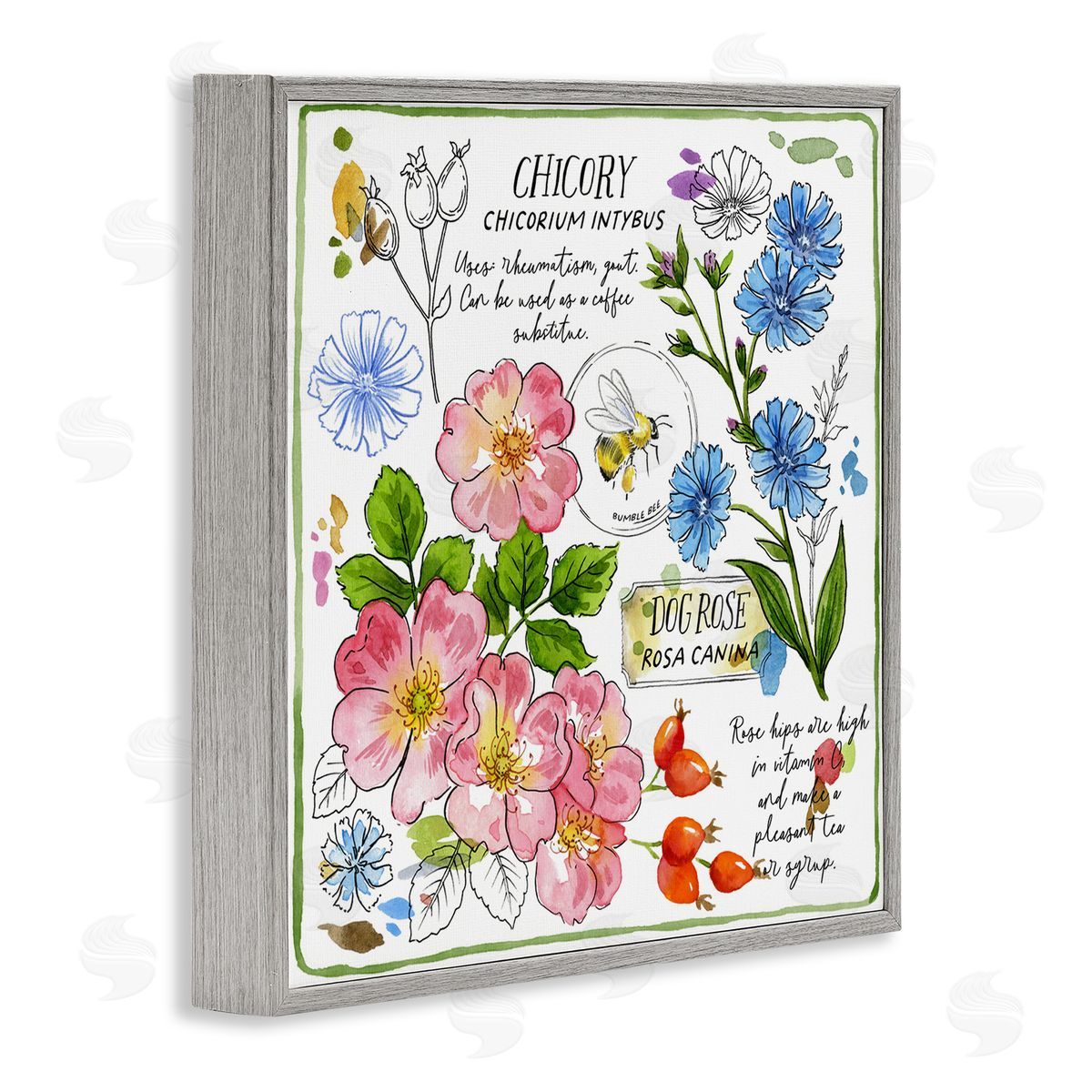 Jane Maday Varied Herbs Benefits Gray Framed Giclee Wall Art Print