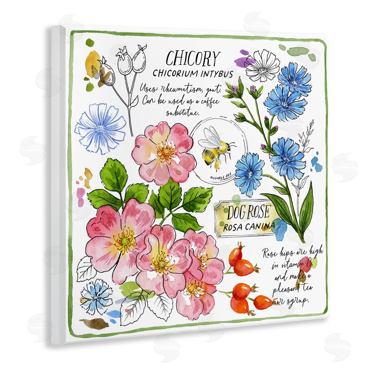 Jane Maday Varied Herbs Benefits Wooden Wall Plaque Art Print