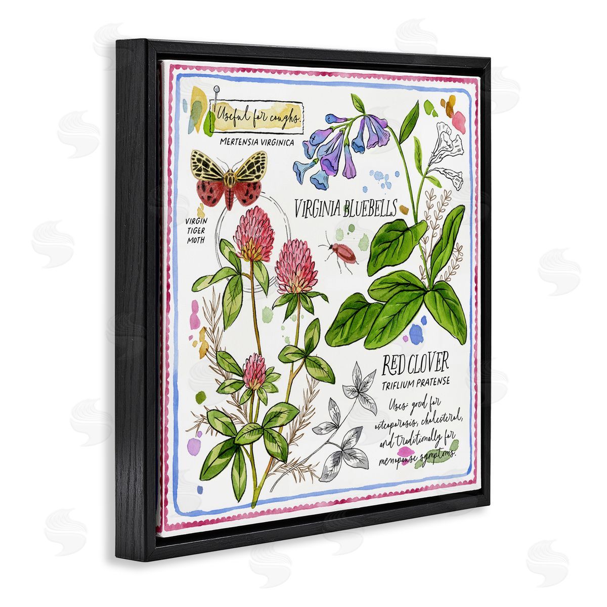 Jane Maday Wild Herbs Diagram Black Floating Frame Canvas Wall Art Print