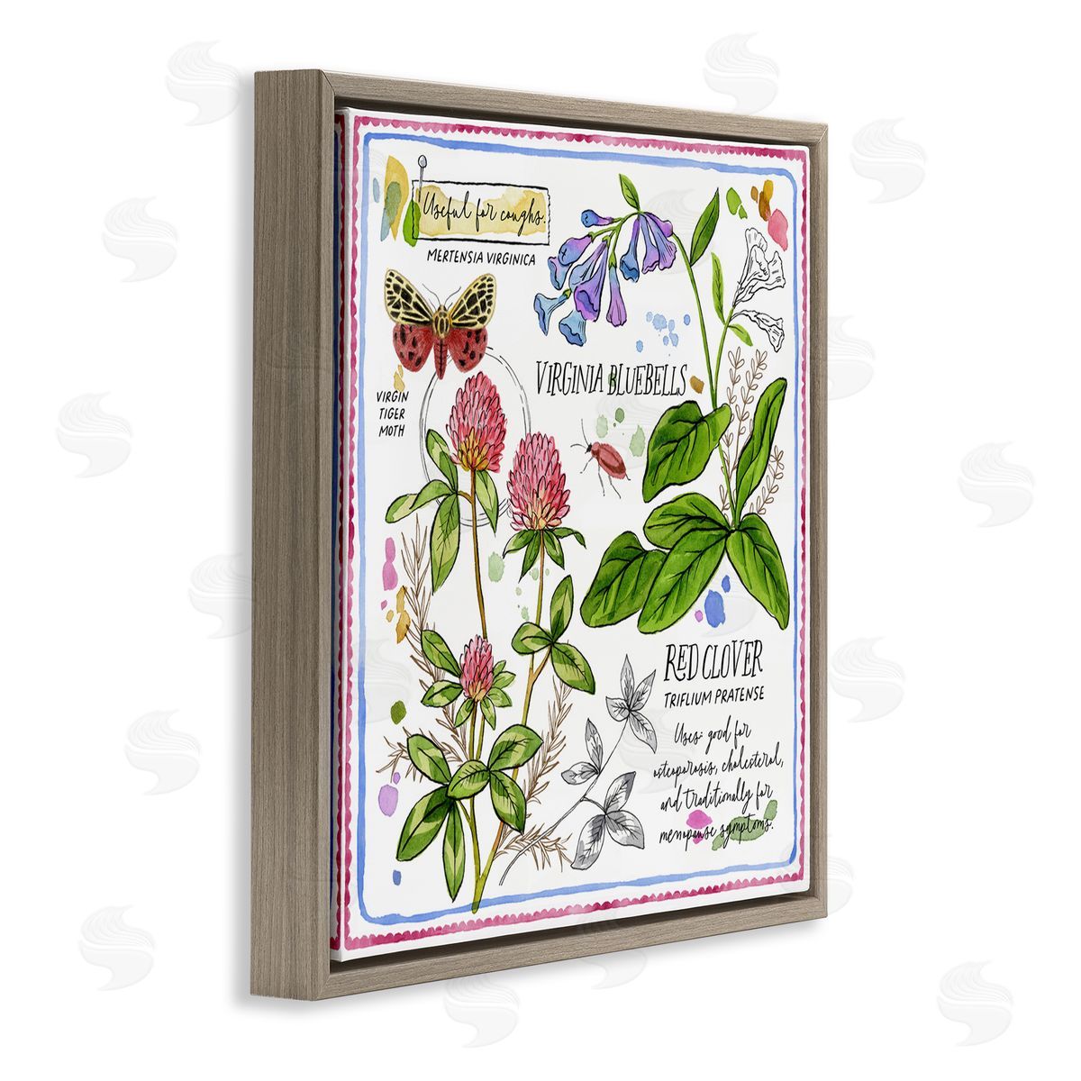 Jane Maday Wild Herbs Diagram Brown Floating Frame Canvas Wall Art Print