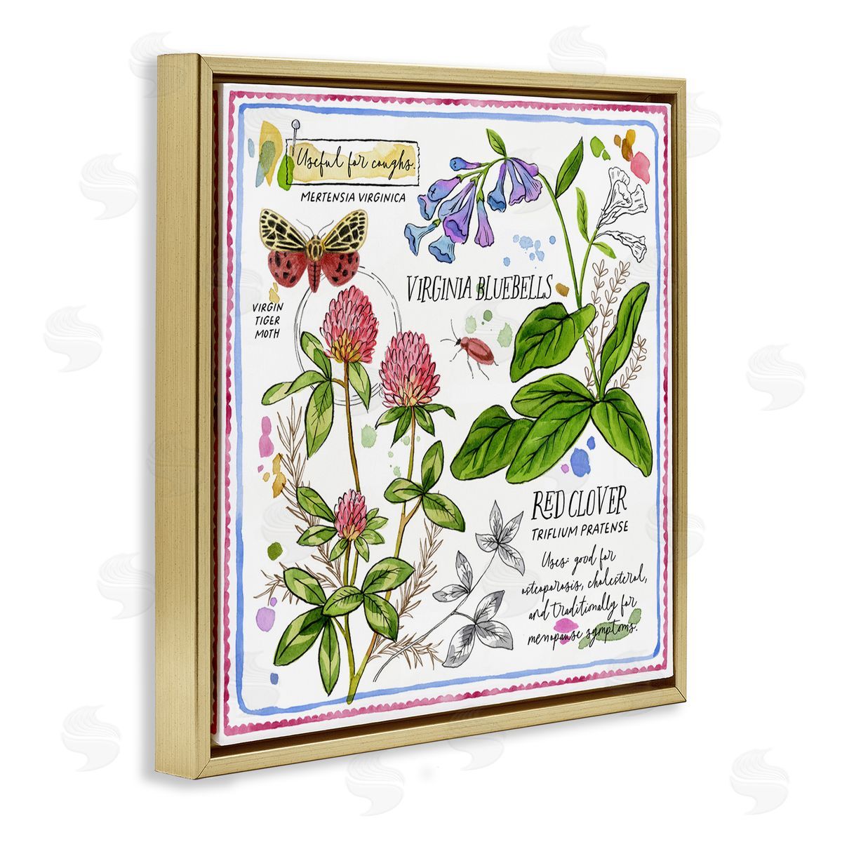 Jane Maday Wild Herbs Diagram Gold Floating Frame Canvas Wall Art Print