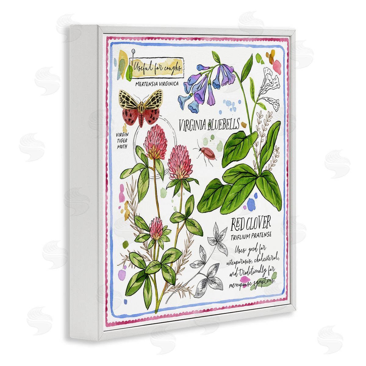 Jane Maday Wild Herbs Diagram White Framed Giclee Wall Art Print