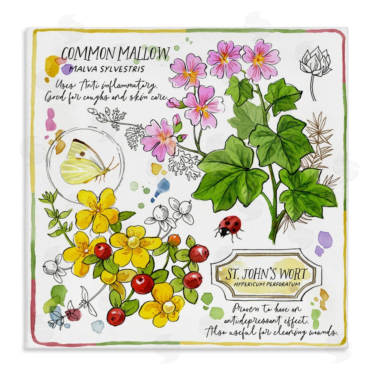 Jane Maday Wild Herbs Benefits Canvas Wall Art Print