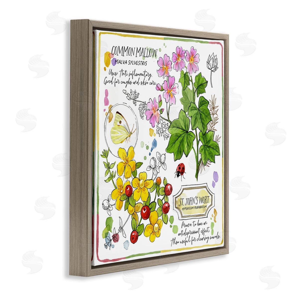 Jane Maday Wild Herbs Benefits Brown Floating Frame Canvas Wall Art Print