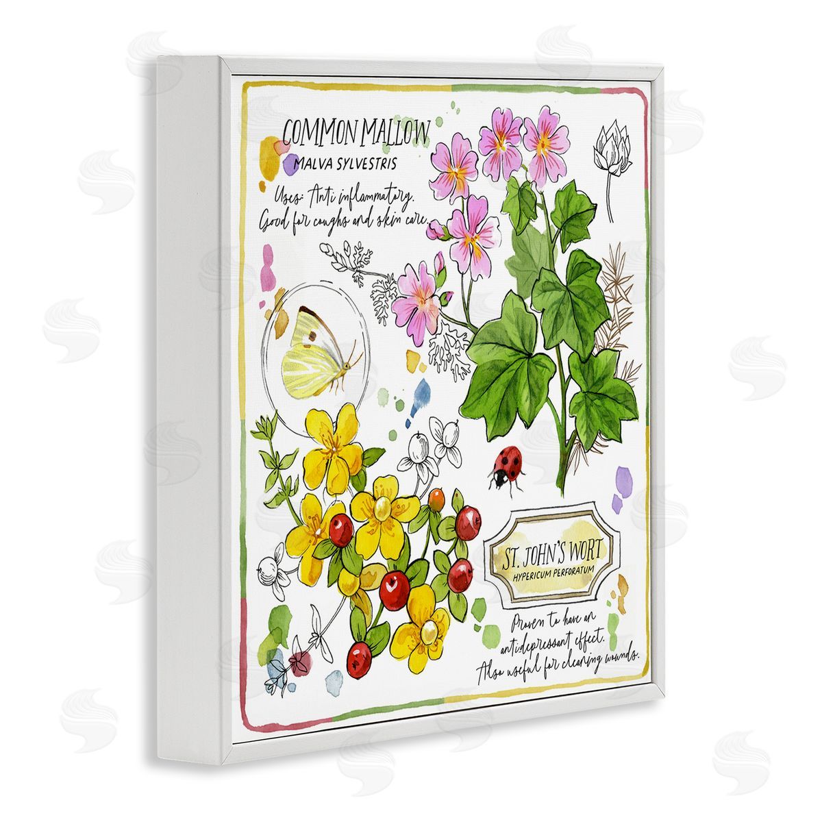 Jane Maday Wild Herbs Benefits White Framed Giclee Wall Art Print