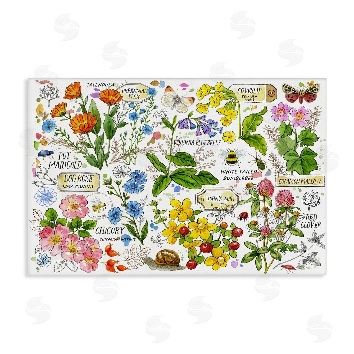Various Herbs Benefits Canvas Wall Art, Home Decor by Jane Maday