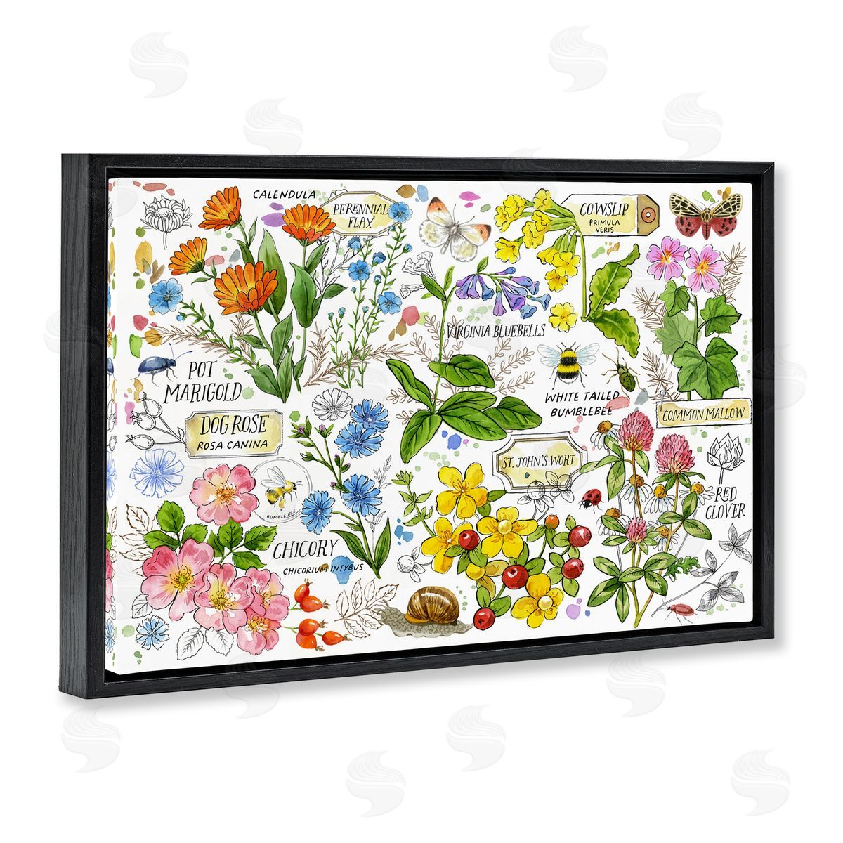 Various Herbs Benefits Black Floating Frame Canvas Wall Art, Home Decor by Jane Maday