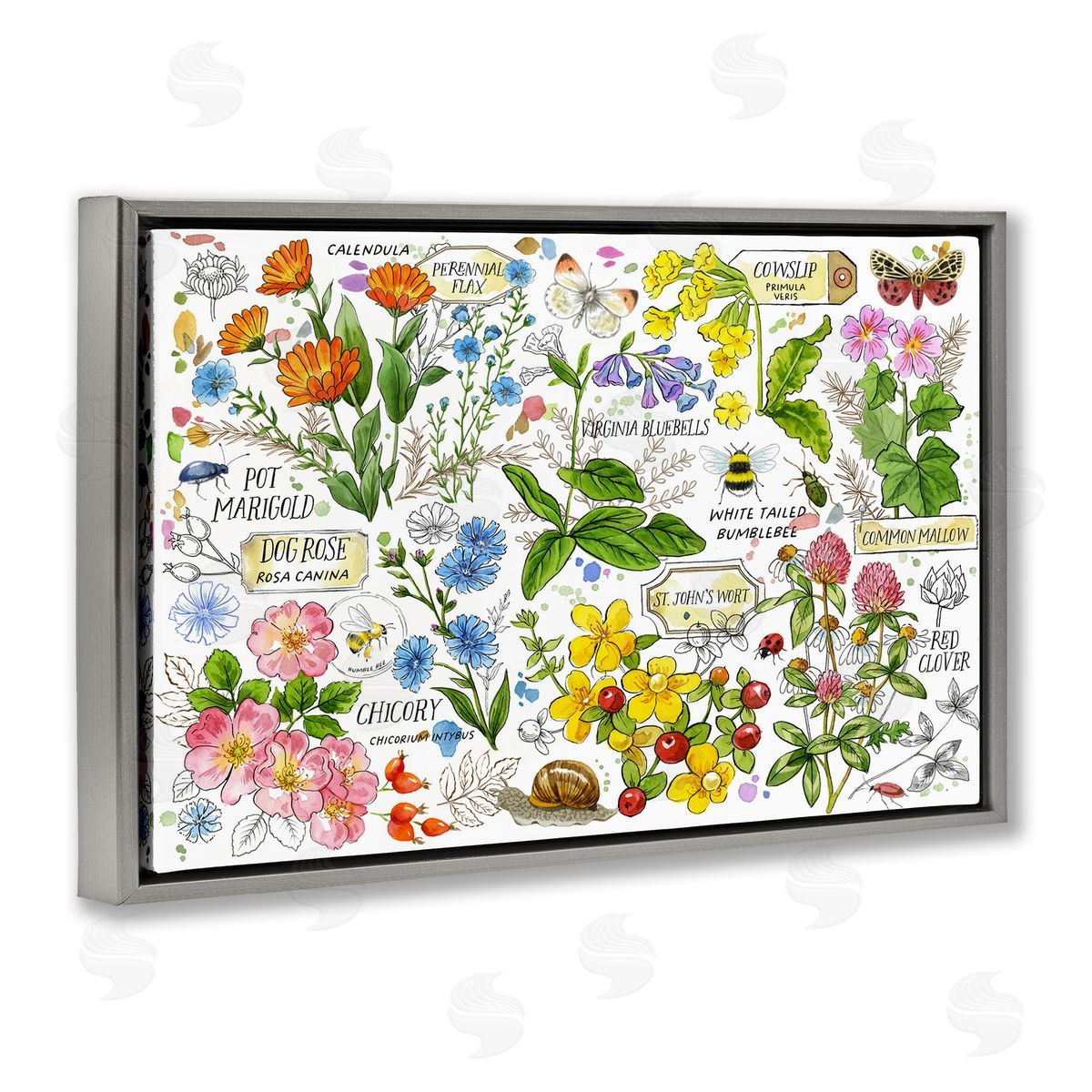 Various Herbs Benefits Grey Floating Frame Canvas Wall Art, Home Decor by Jane Maday