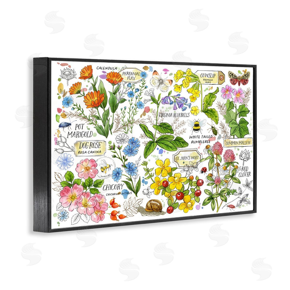 Various Herbs Benefits Black Frame Print Wall Art, Home Decor by Jane Maday