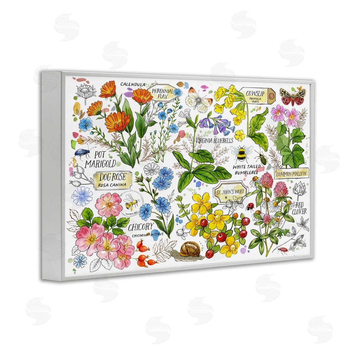 Various Herbs Benefits White Frame Print Wall Art, Home Decor by Jane Maday