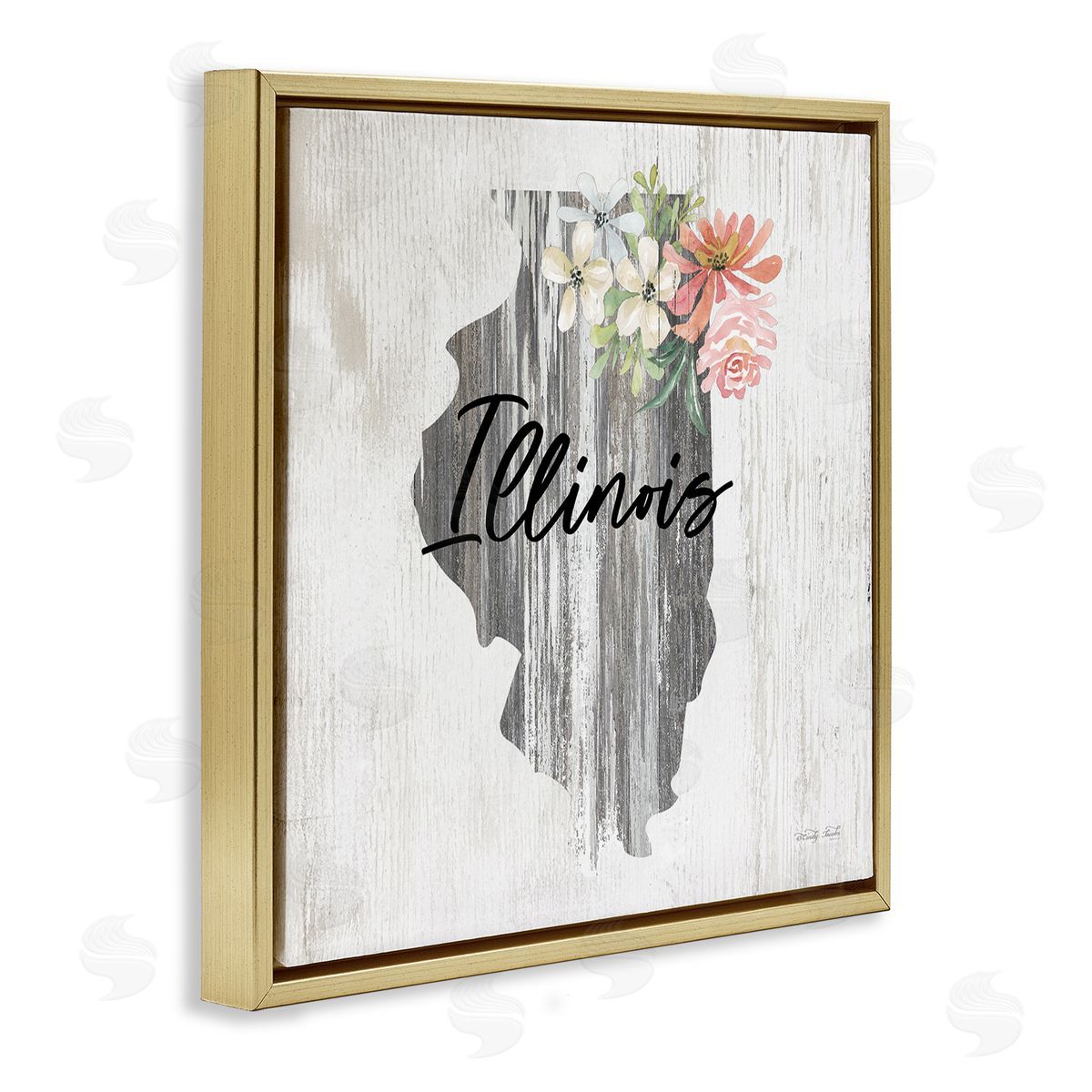 Shabby Chic Illinois Gold Floating Frame Canvas Wall Art, Home Decor by Cindy Jacobs