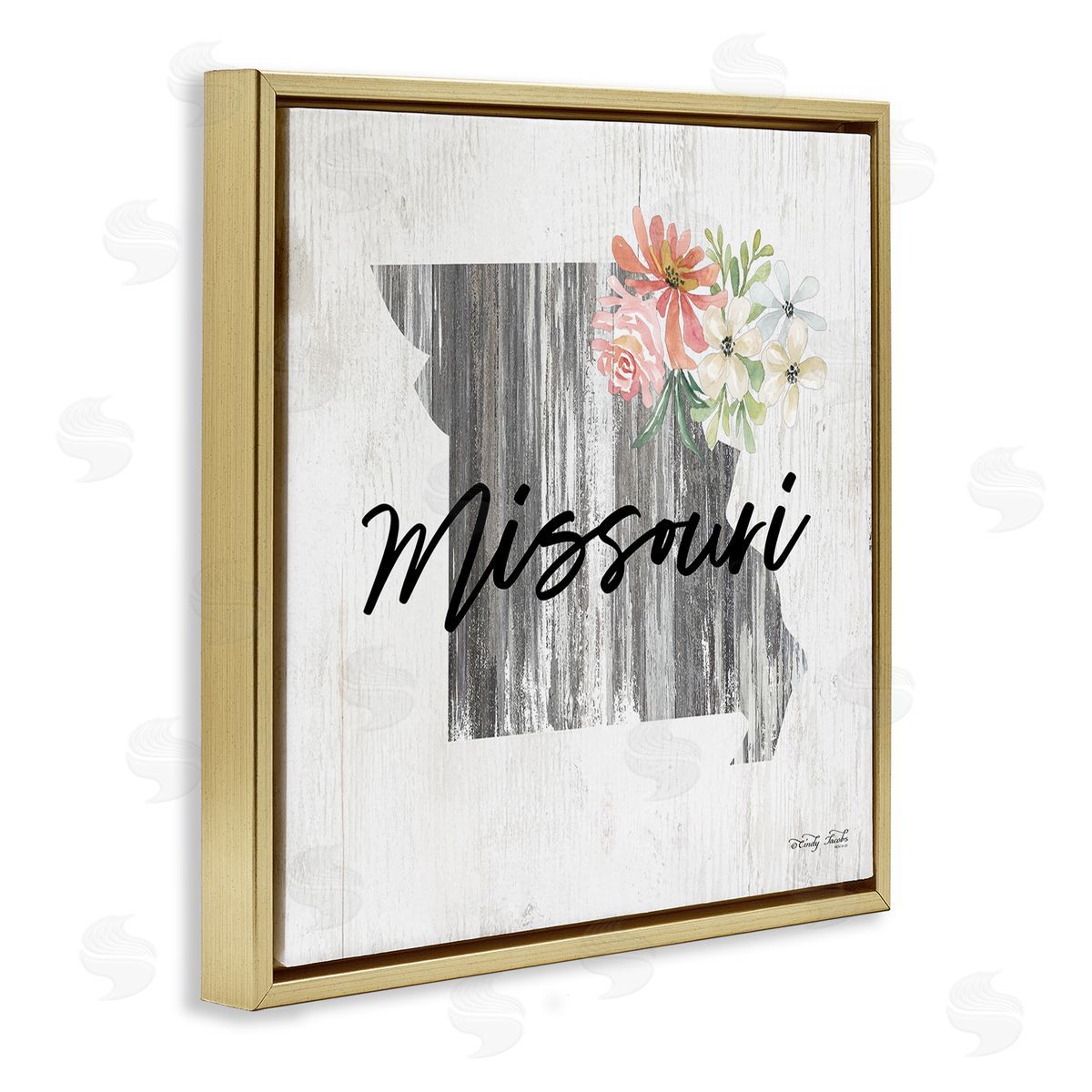 Shabby Chic Missouri Gold Floating Frame Canvas Wall Art, Home Decor by Cindy Jacobs