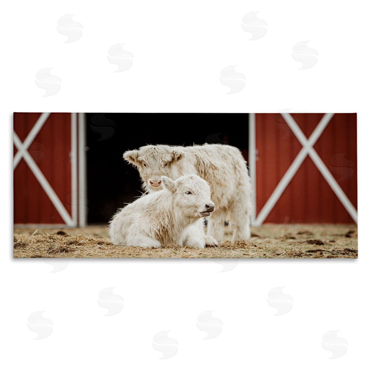 White Cattle Barn Canvas Wall Art, Home Decor by Dakota Diener