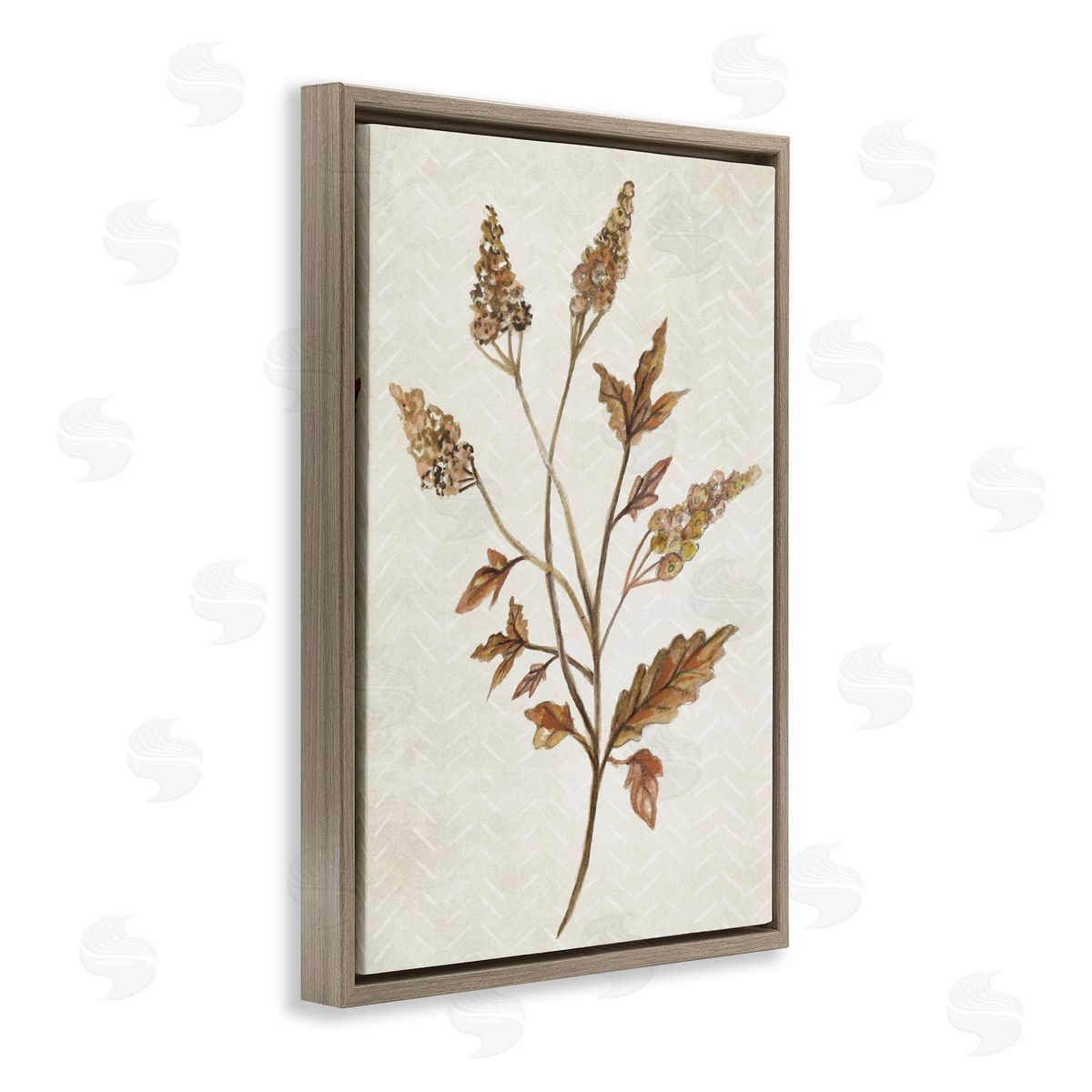 Neutral Garden Botanics Brown Floating Frame Canvas Wall Art, Home Decor by Janice Gaynor