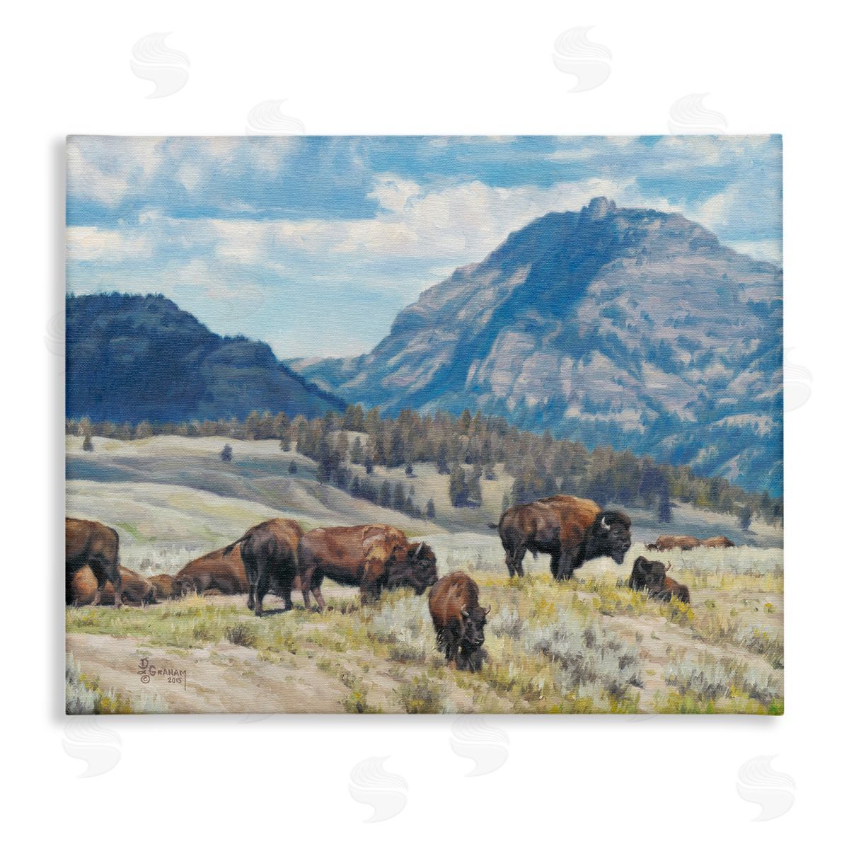 Sunny Afternoon Bison Canvas Wall Art, Home Decor by David Graham