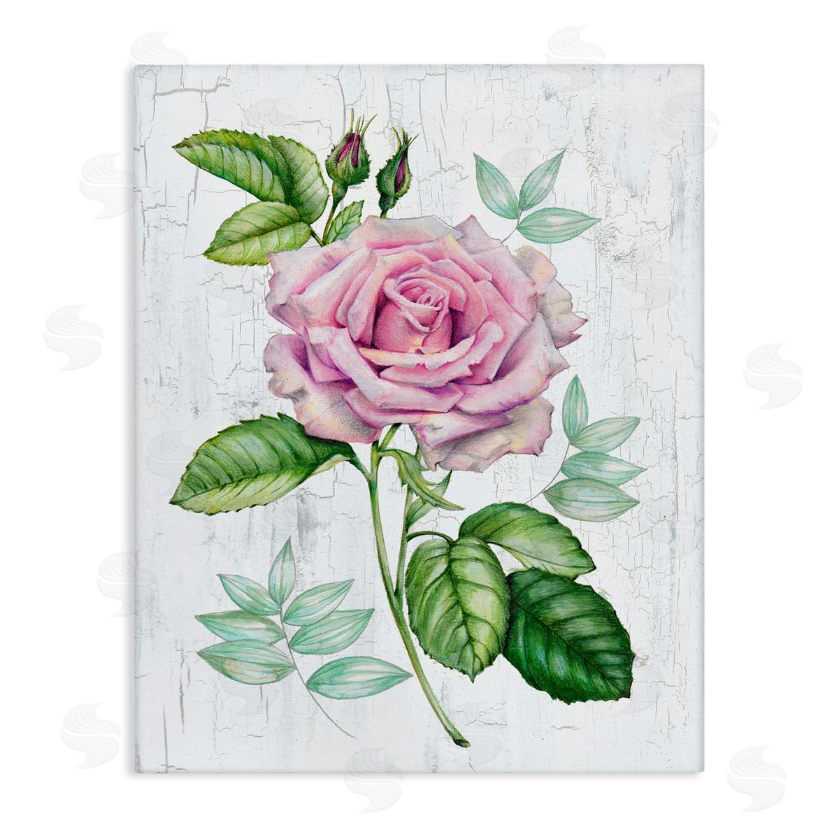 English Manor Rose Canvas Wall Art, Home Decor by Levison Design