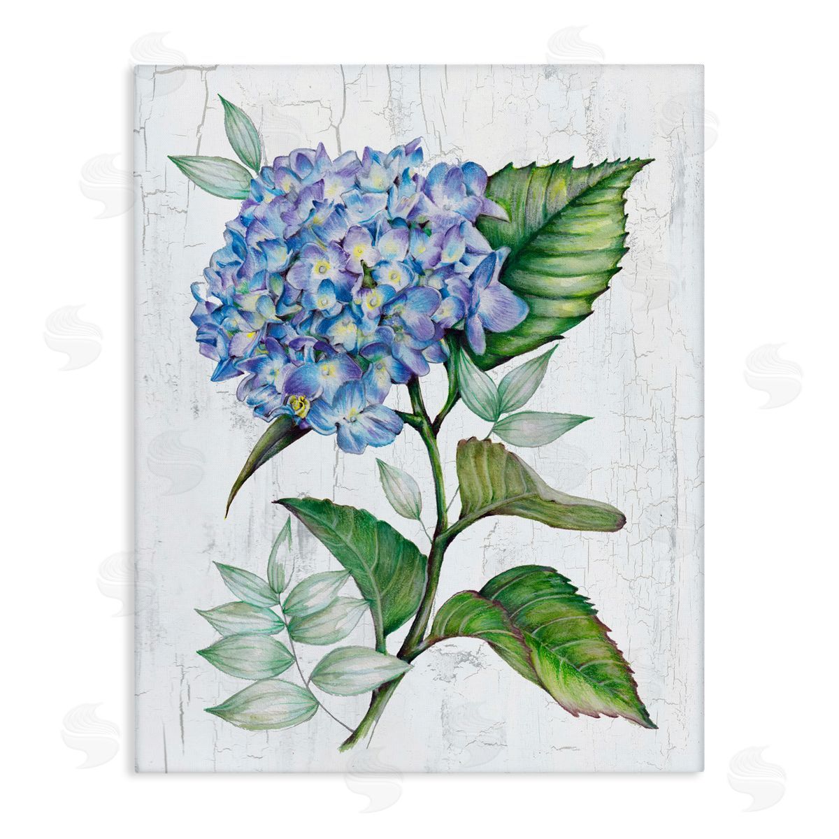 Levison Design English Manor Hydrangea Canvas Wall Art Print