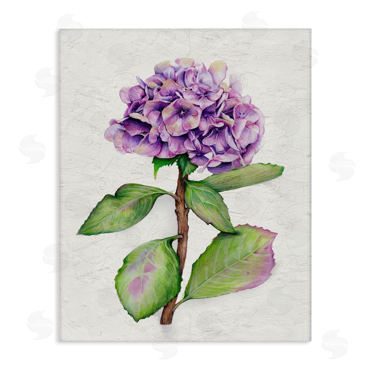 European Style Hydrangea Canvas Wall Art, Home Decor by Levison Design