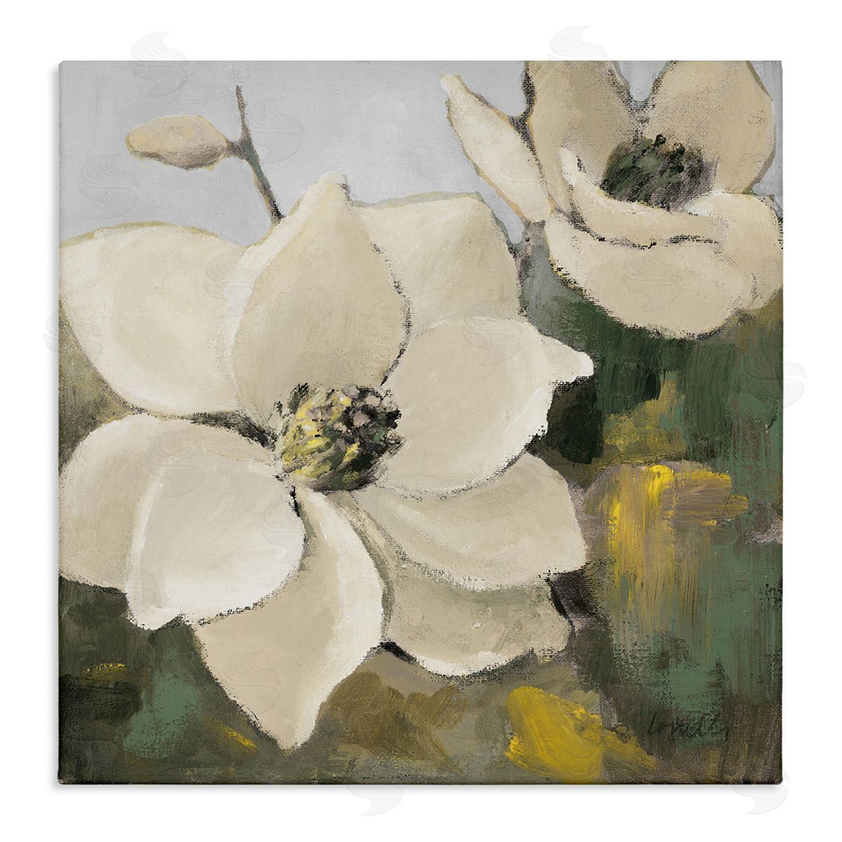 Two Magnolia Blossoms Canvas Wall Art, Home Decor by Lanie Loreth
