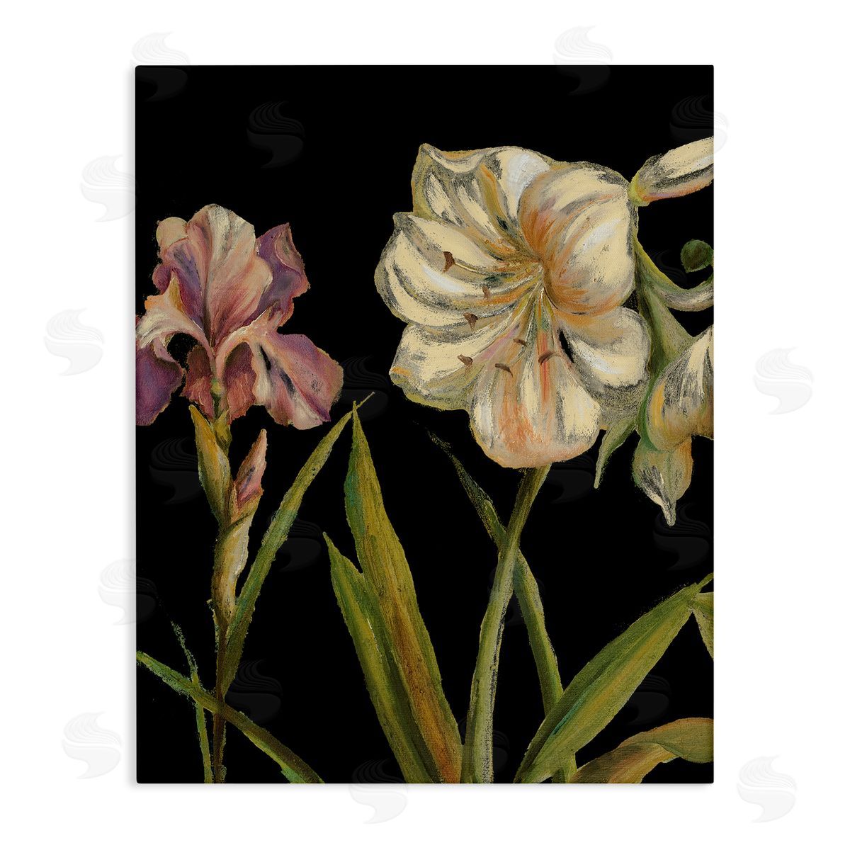 Iris Flowers on Black Canvas Wall Art, Home Decor by Patricia Pinto