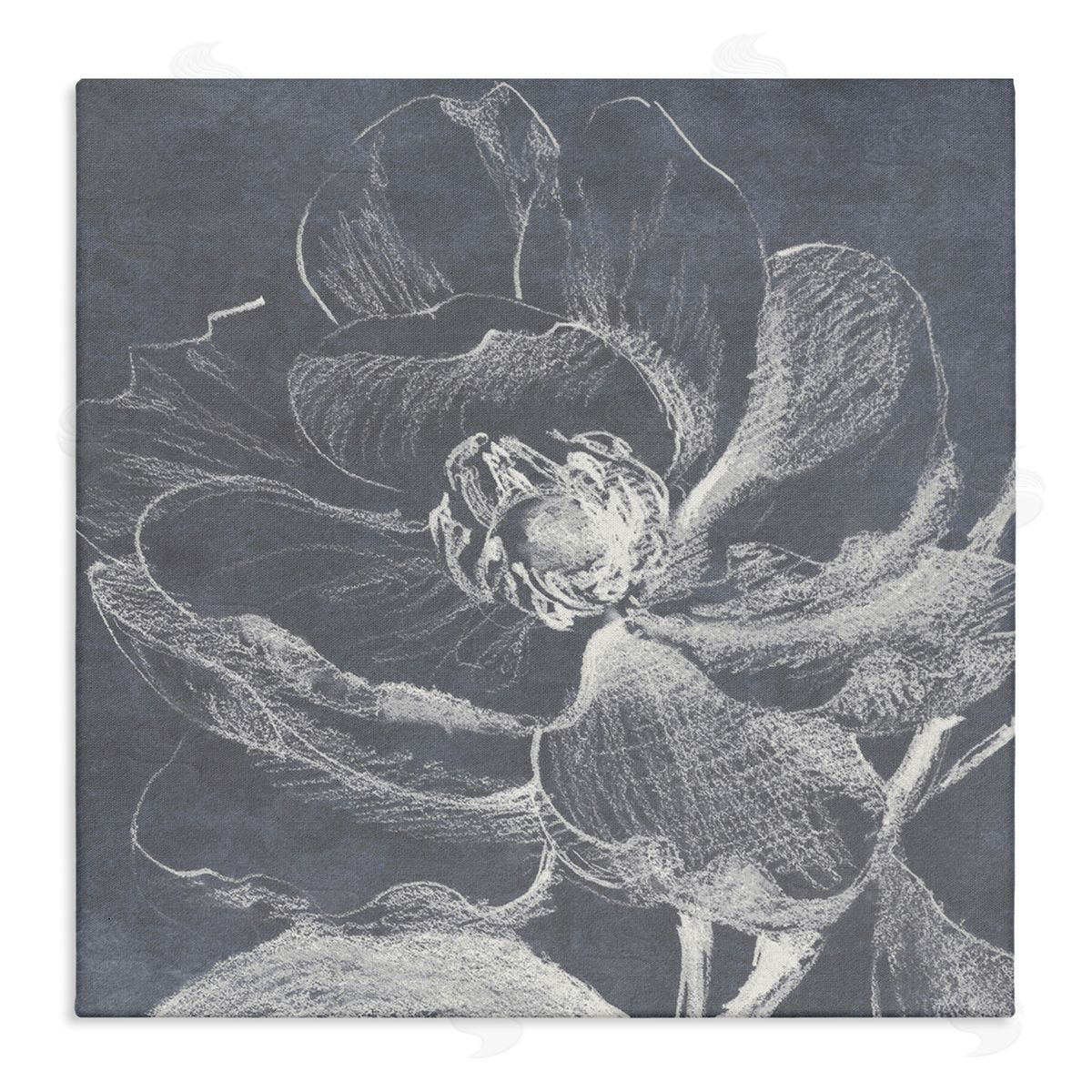 Lanie Loreth Magnolia Sketch Impression Canvas Wall Art Print